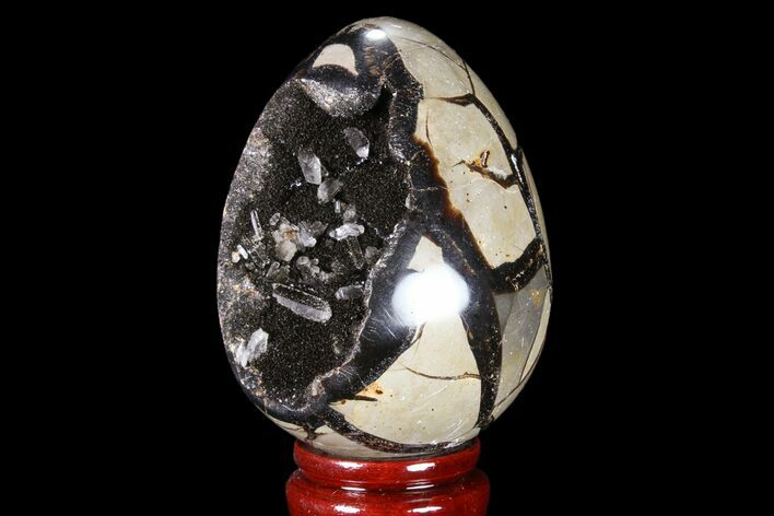 Septarian Dragon Egg Geode - Black Crystals #83177